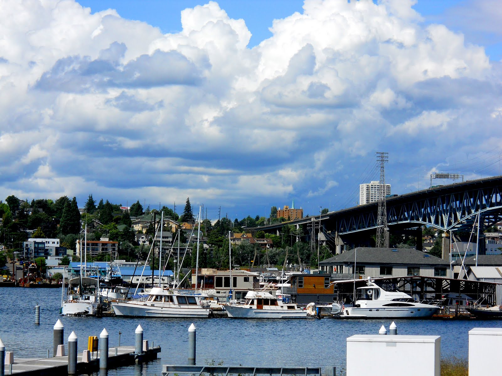 Jim's Picture Parade Eastlake (and the tip of Westlake) in Seattle