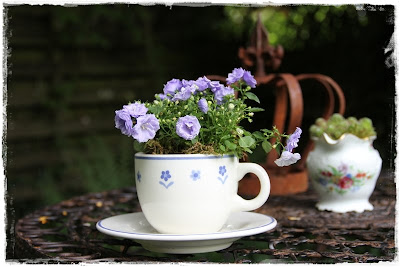 Gwundergarten: Alle Tassen im Schrank ? / About cups