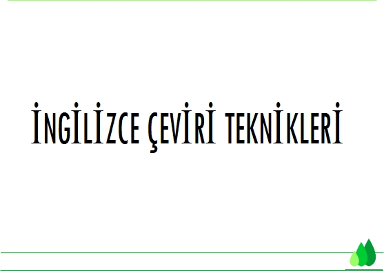 Ingilizce Ceviri Teknigi Ali Bayram Birsen Cankaya Fono Yayinlari Konusu Yorumlari Ve Fiyati Ile Kitap Sepeti Nde