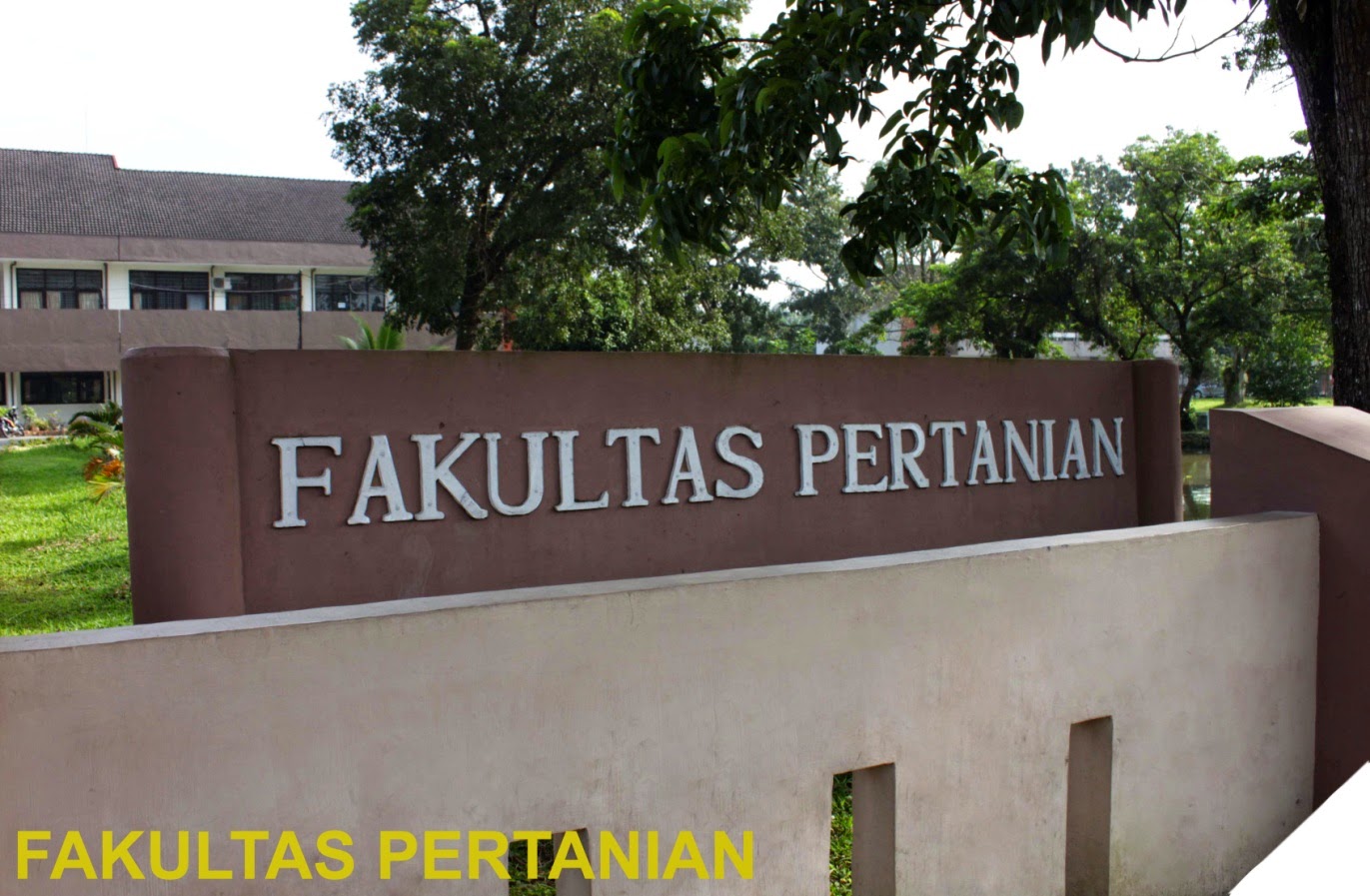UNIVERSITAS METHODIST INDONESIA: Fakultas pertanian