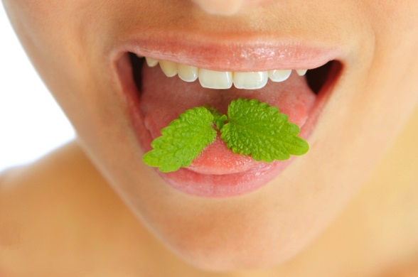 Tips To Get Ride Of Bad Breath Odor