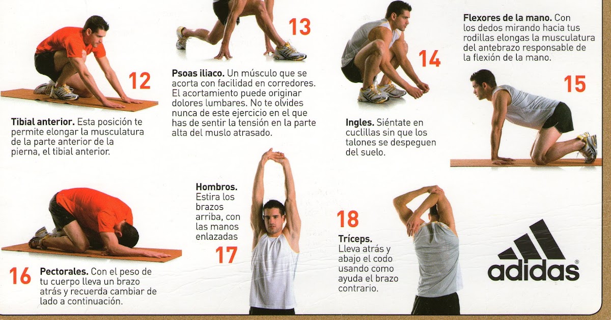 Ejemplos De Flexibilidad En Educacion Fisica educacionfisicacavanilles.blogspot.com