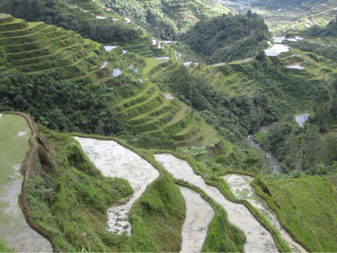 saan matatagpuan ang banaue rice terraces - philippin news collections