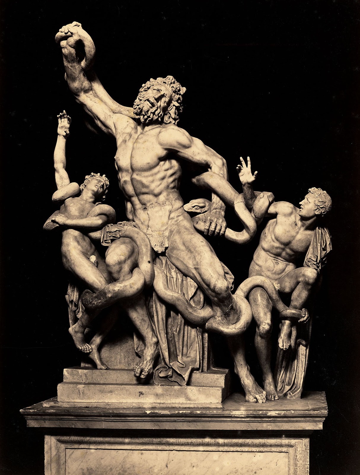Le Laocoon du Primatice