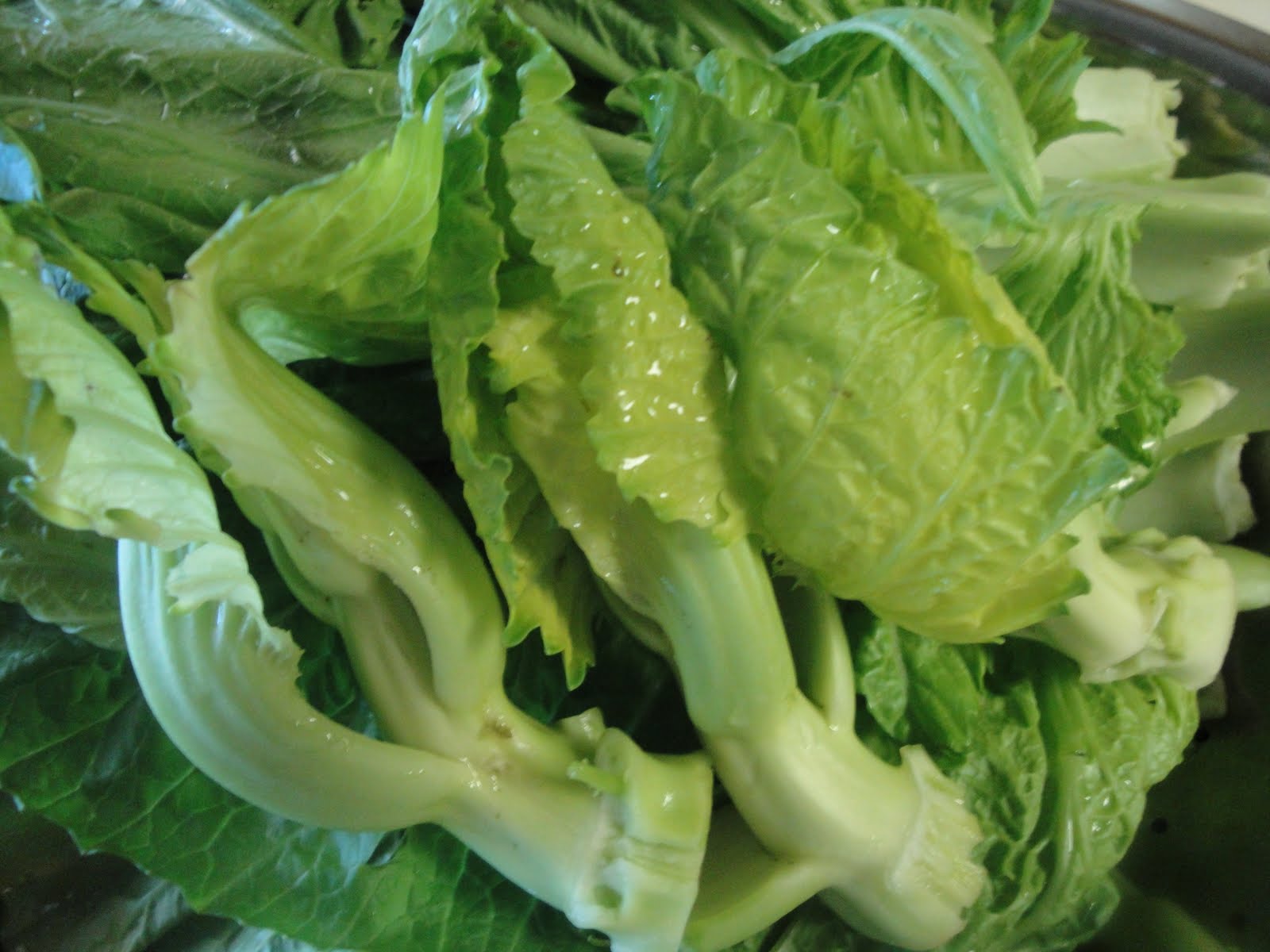 The Glutton Square Chinese Mustard Cabbage with Riblets (Choy Geok)