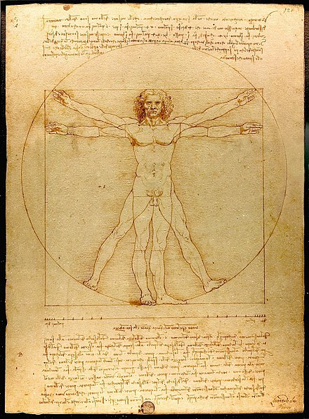 *Croquis de Léonard de Vinci, L'homme de Vitruve*