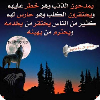 6999-4-or-1409145098