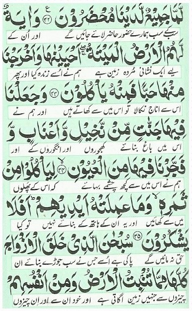 Surah Yaseen Shareef - Full Pdf with Urdu Translation