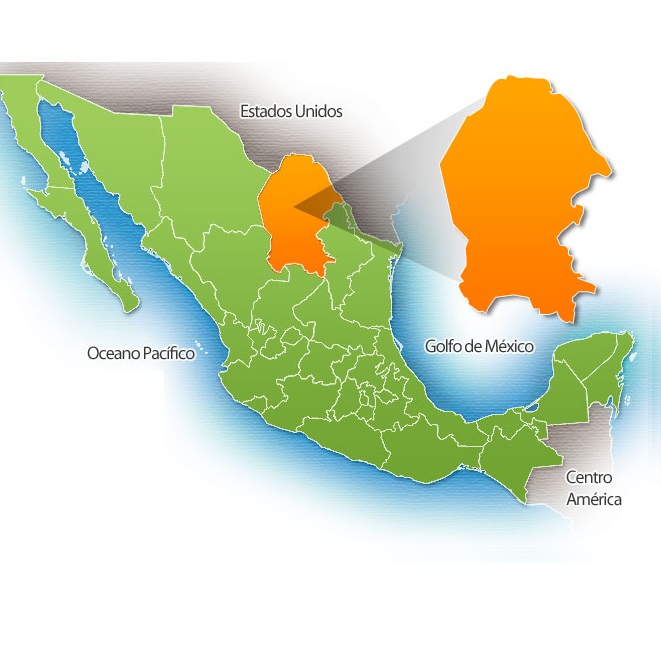 Sintético 105 Foto Mapa De Coahuila Con Nombres De Sus Municipios Cena