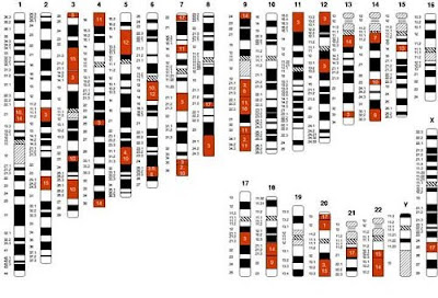 Genoma umano contiene meno geni utili del previsto