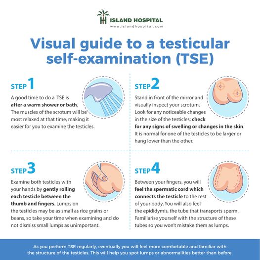 National Cancer Society Of Malaysia Penang Branch Visual Guide To A Testicular Self