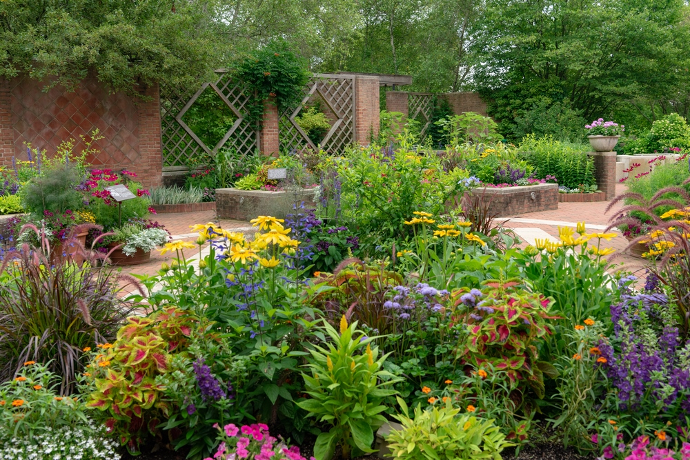 Jardinería para personas con diferentes capacidades en el Botánico de
