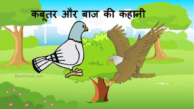 kabuter aaur baaj hindi story for class 1
