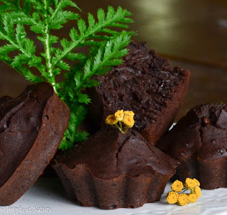 Muffins au chocolat parfumés à la tanaisie - IG bas © Popote et Nature Muffins au chocolat parfumés à la tanaisie - IG bas © Popote et Nature