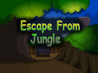  Top10NewGames - Top10 Escape From Jungle