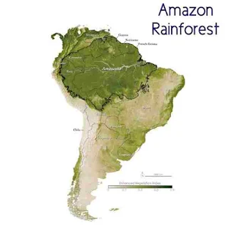 amazon forest in which country in hindi अमेजॉन का जंगल किस देश में है