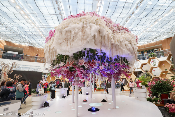 台中后里|台中花博后里馬場園區|花舞館|馬術兢技場|故宮花蝶館|花馬樂園 台中后里|台中花博后里馬場園區|花舞館|馬術兢技場|故宮花蝶館|花馬樂園