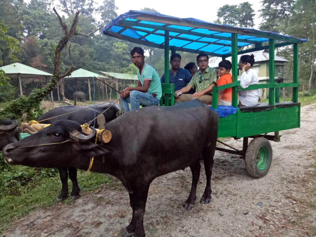 The image contains People in a Bullock cart in the Gorumara National park ( Lataguri).