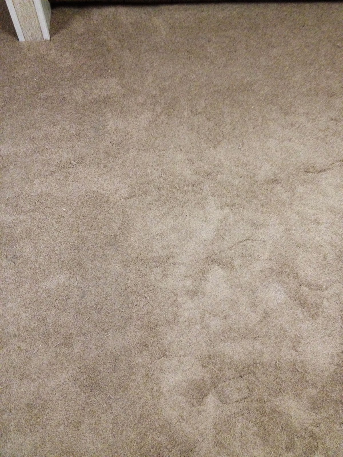 Johnson's Carpet Carpet problems...