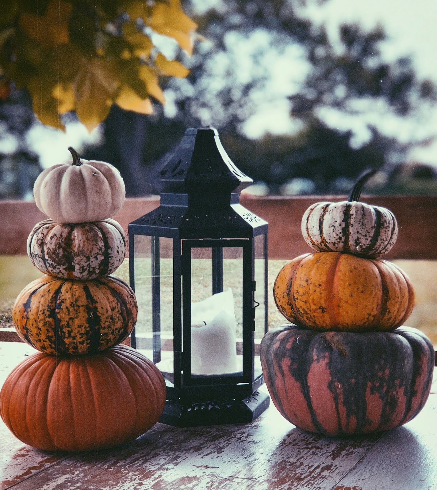 Decorating with Pumpkins All These Interiors