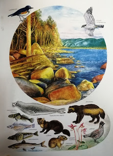 Заповедник для чего нужен. Смотреть фото Заповедник для чего нужен. Смотреть картинку Заповедник для чего нужен. Картинка про Заповедник для чего нужен. Фото Заповедник для чего нужен Заповедник для чего нужен. Смотреть фото Заповедник для чего нужен. Смотреть картинку Заповедник для чего нужен. Картинка про Заповедник для чего нужен. Фото Заповедник для чего нужен