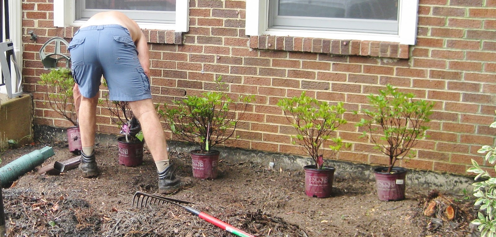 BonnieProjects: Relandscaping the front yard