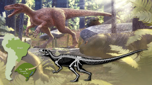 Παλιά σαρκοφάγος δεινόσαυρος βρέθηκε στη νότια Βραζιλία