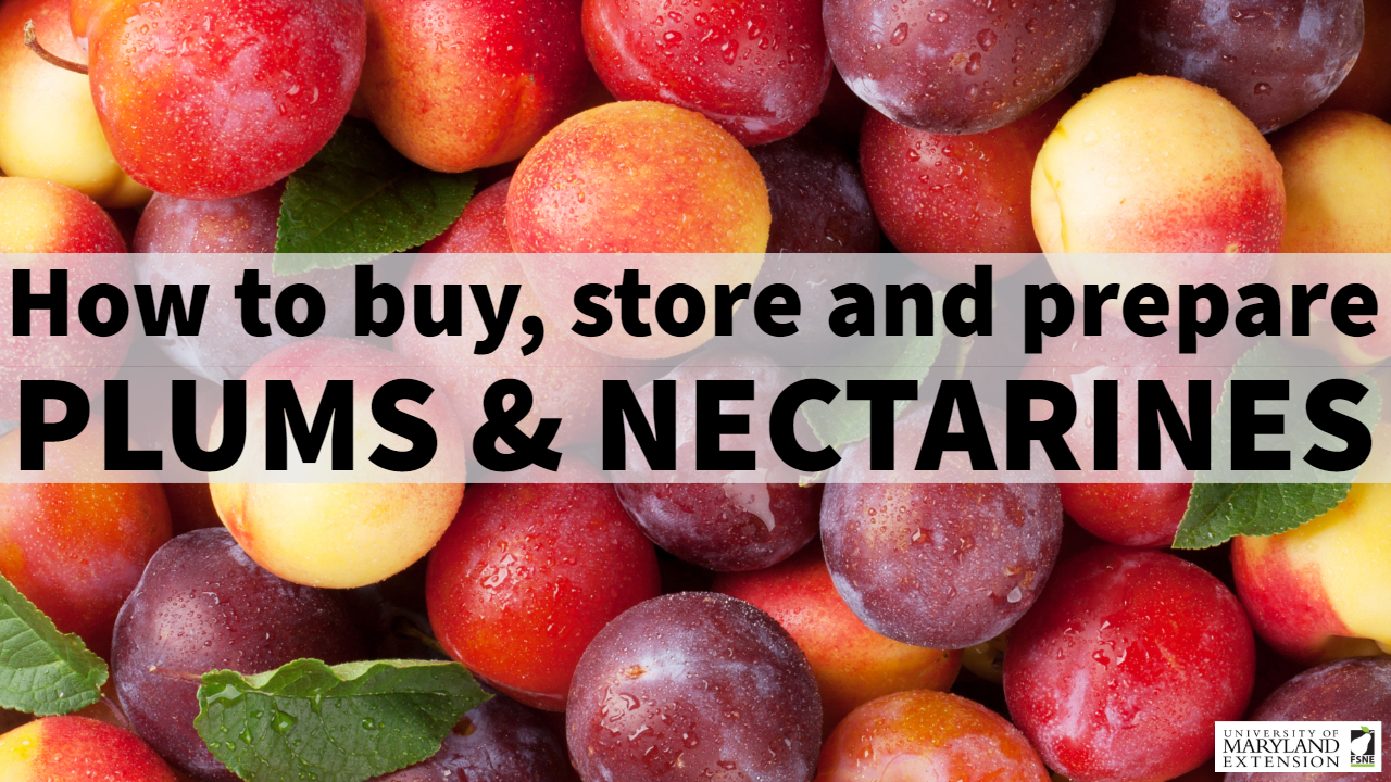 Spotlight on Plums and Nectarines / Eat Smart, Be Fit Maryland!