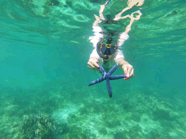 Как крымчане филиппинились: Боракай и Себу -Белый песок на Белом пляже, гигантские ракушки и китовые акулы