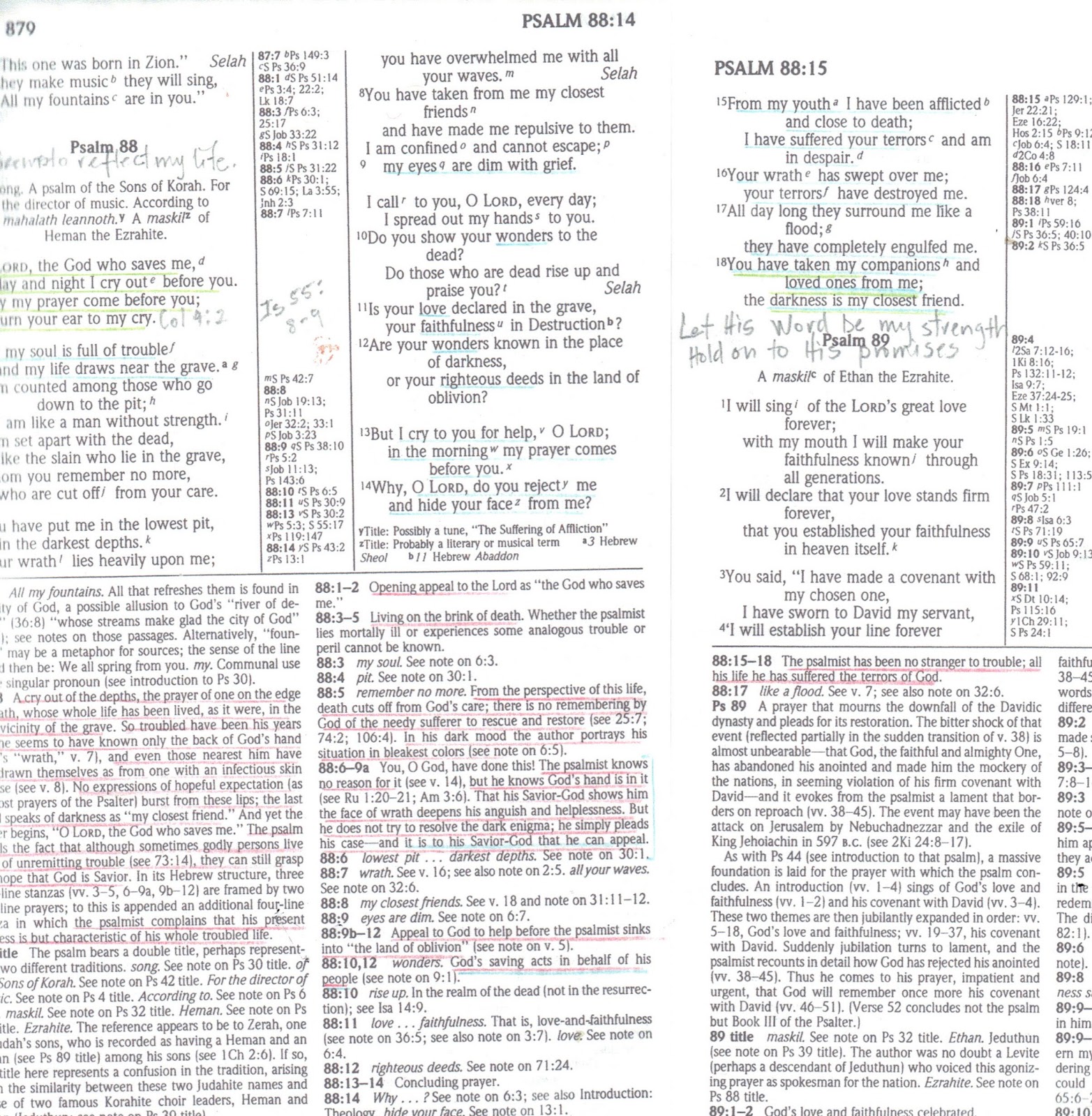 His sheep am I Psalm 88