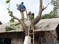 Sepuluh Desa di Empat Kecamatan Kabupaten Brebes Diamuk Puting Beliung
