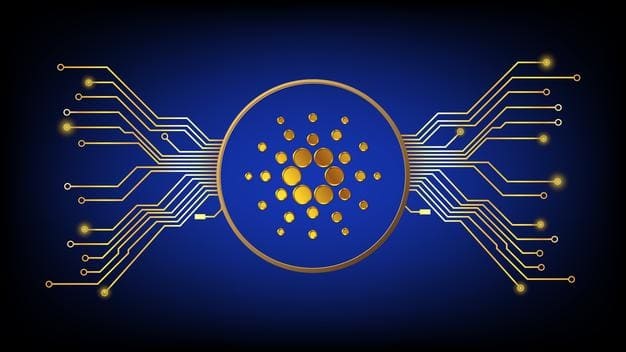 cardano ada 100 milyon dolarlık yatırım aldı