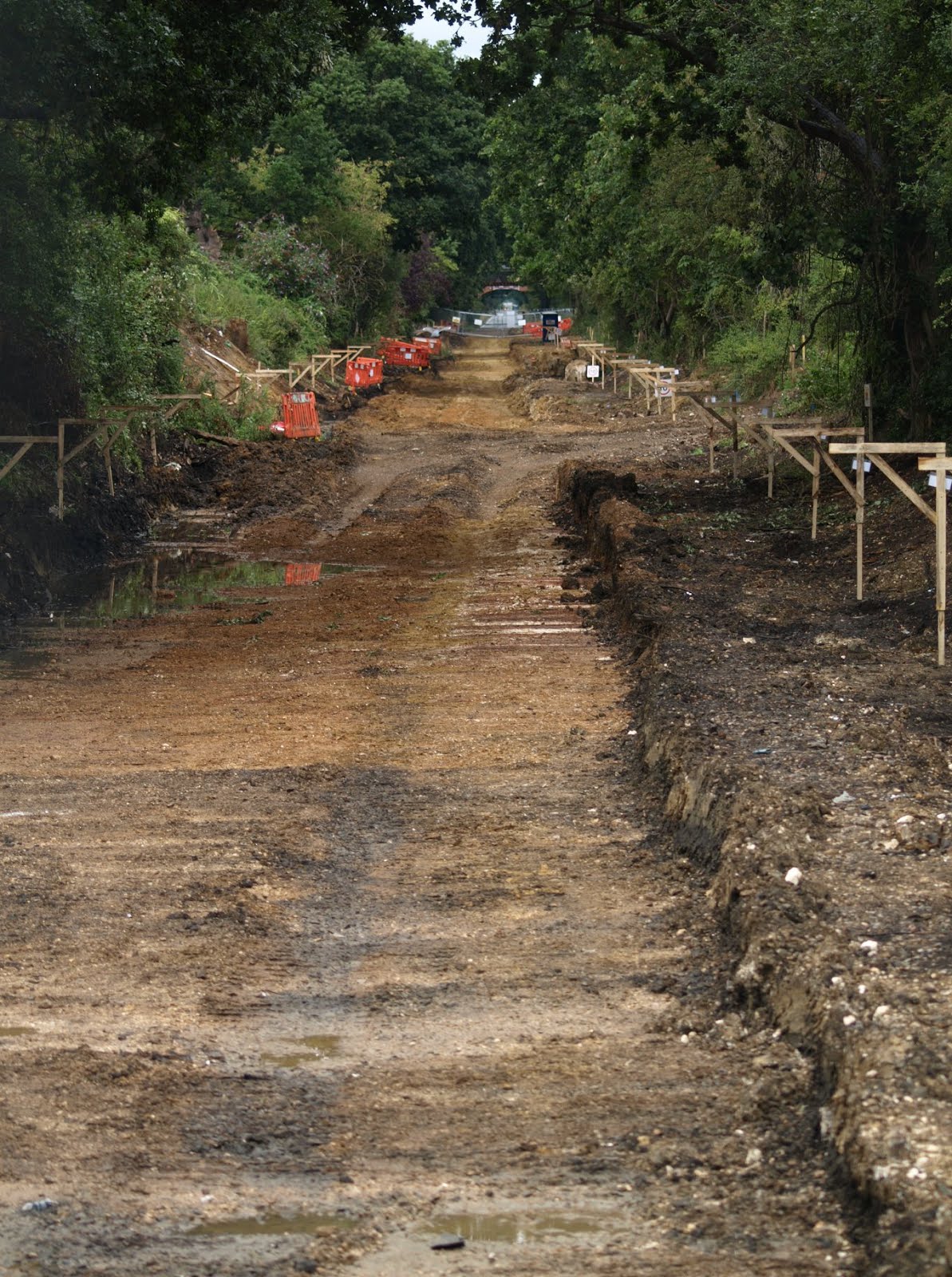 Building bus route extension along the old Gosport Line