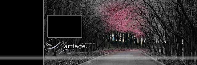 Best Wedding Album Design 12x36 Psd Sheet Download Wedding Album Design