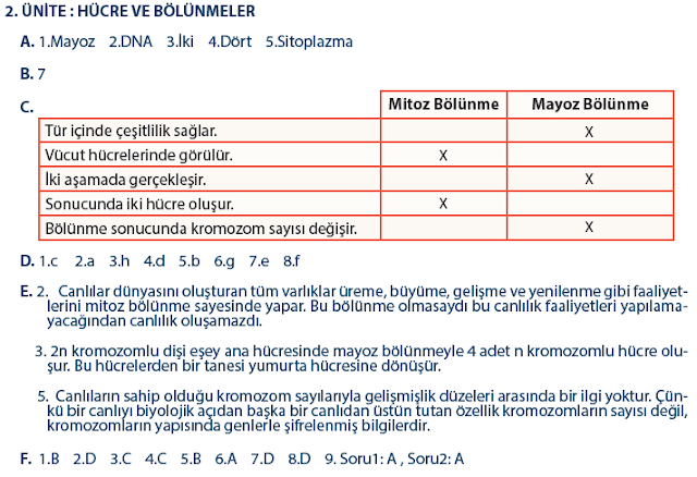 7. Sınıf Fen Bilimleri MEB Yayınları 76. 77. 78. 79. Sayfa Cevapları 2. Ünite Değerlendirme 7. Sınıf Fen Bilimleri MEB Yayınları 76. 77. 78. 79. Sayfa Cevapları 2. Ünite Değerlendirme