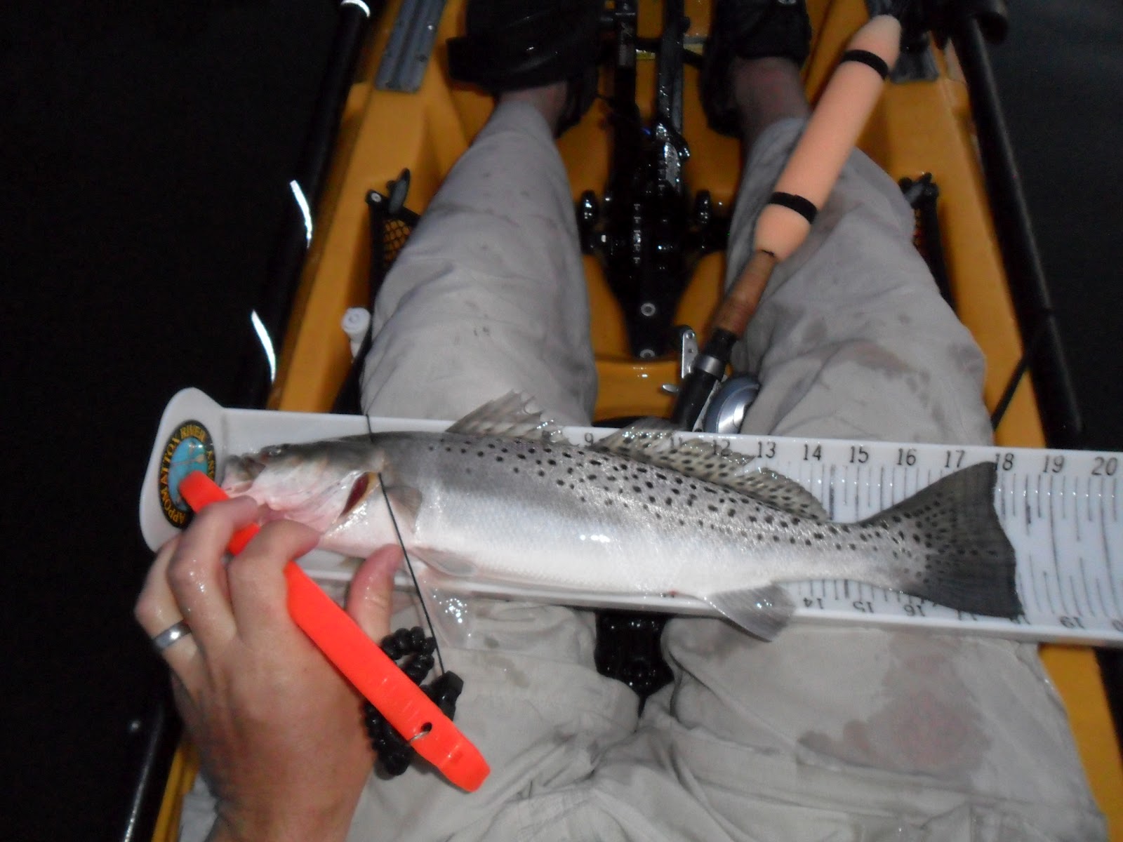 Froggin4Bass The Speckled Trout a beginner's guide (pt.1)