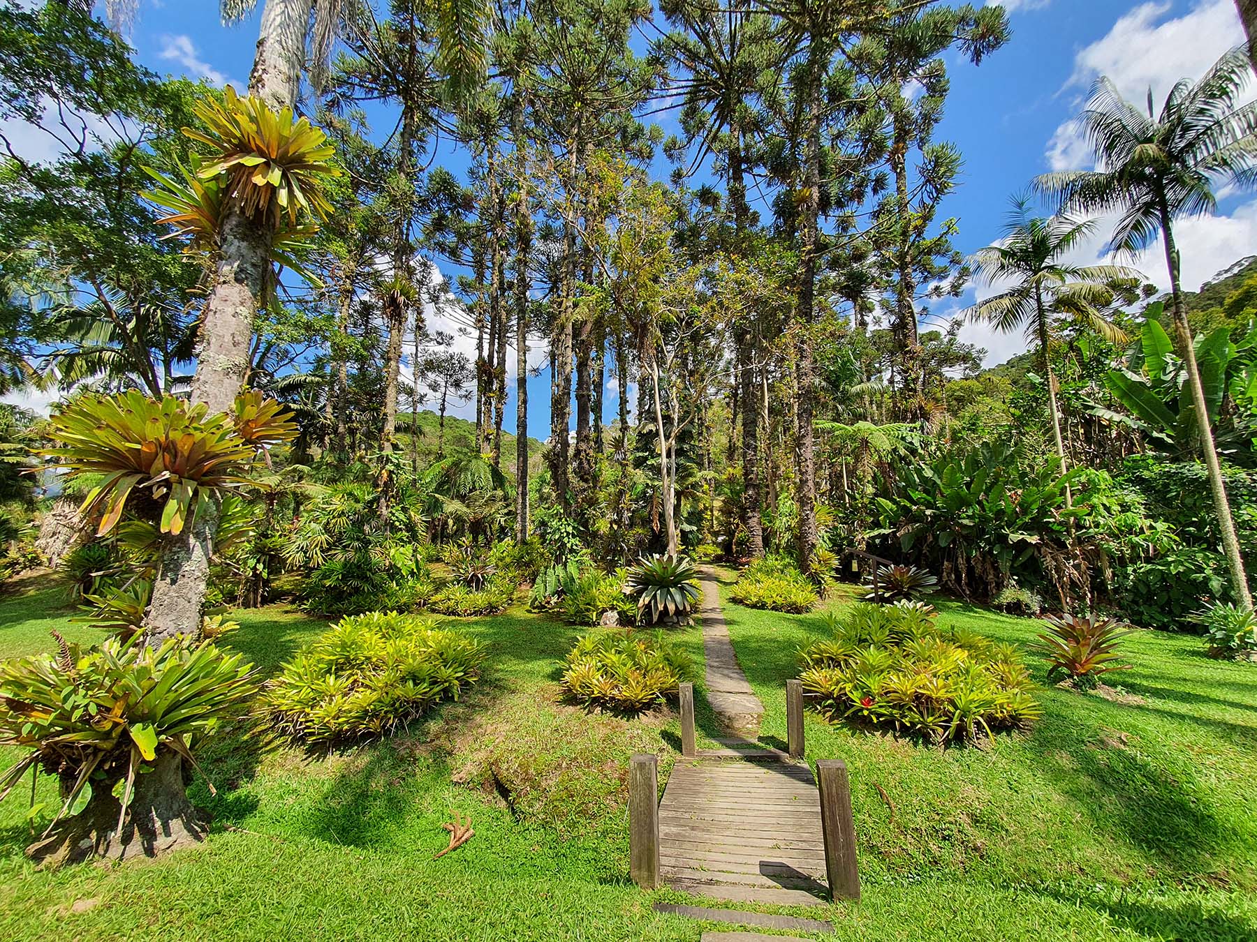 Jardins do Passaredo, Visconde de Mauá.
