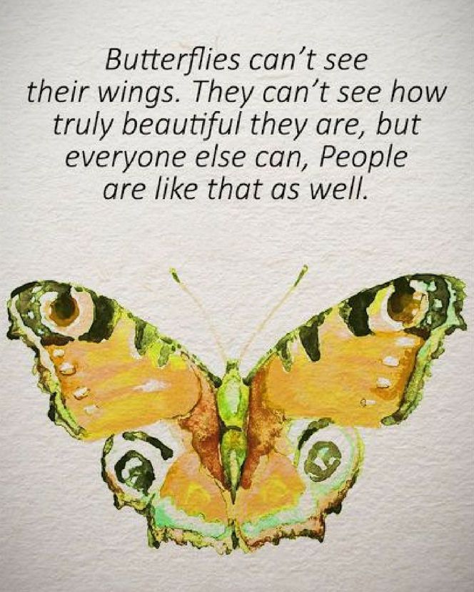 Butterflies can't see their wings