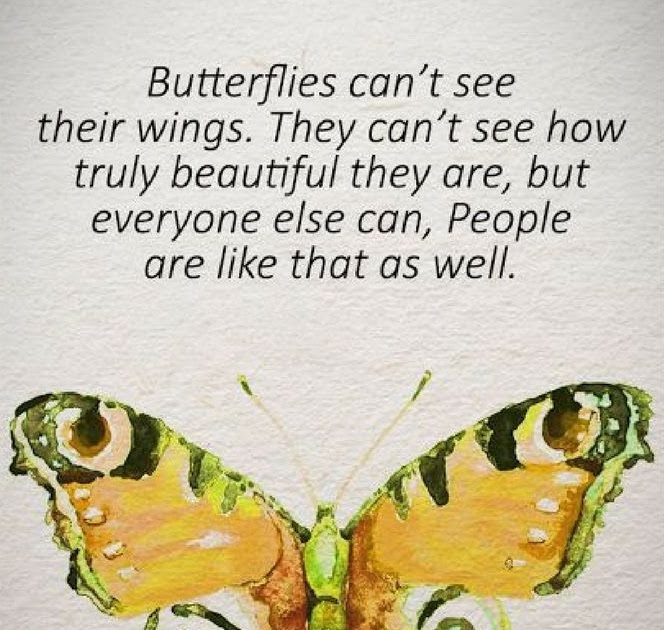 Butterflies can't see their wings