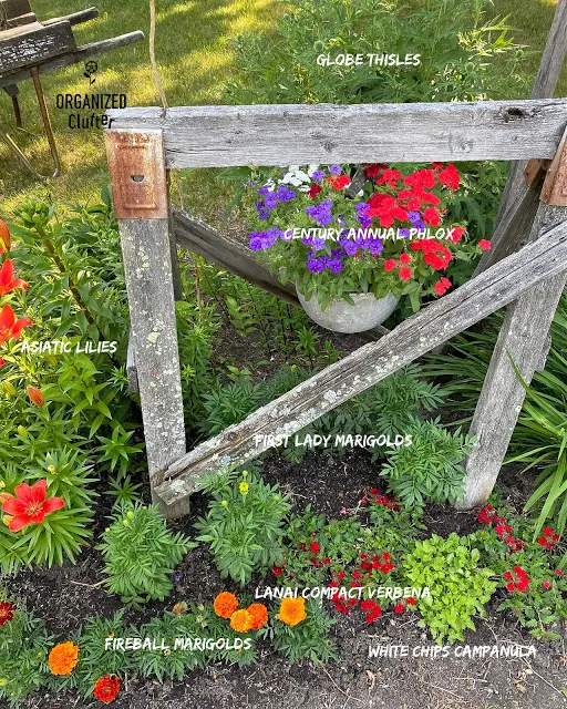Photo of junk garden flower border with captions