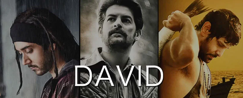 David Hindi Movie - Full Song Lyrics (2013)