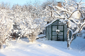 THE GREENHOUSE