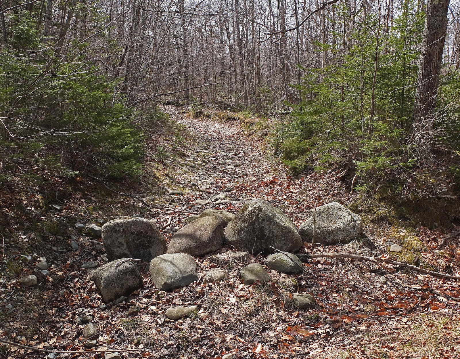 Hiking in Maine with Kelley 4/29/14 Frye Mountain
