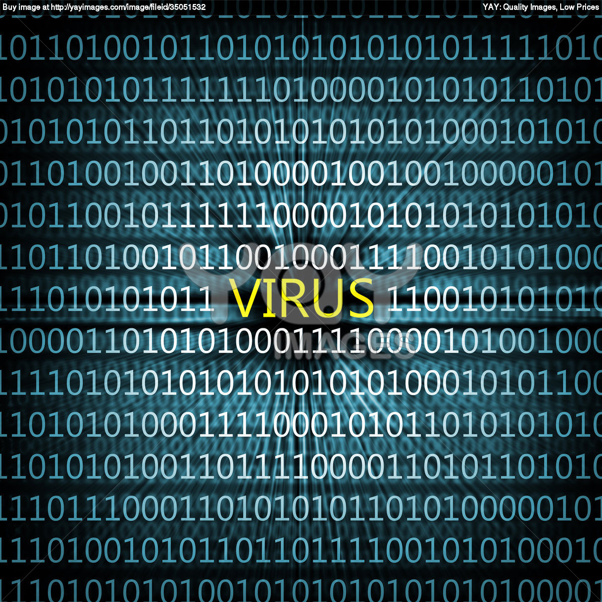 IT Support Professional and Networking Solution Adelaide IT Support