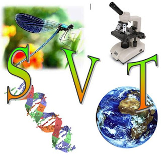 تحميل جذاذات الاولى ثانوي إعدادي علوم الحياة و الأرض Logo_SVT