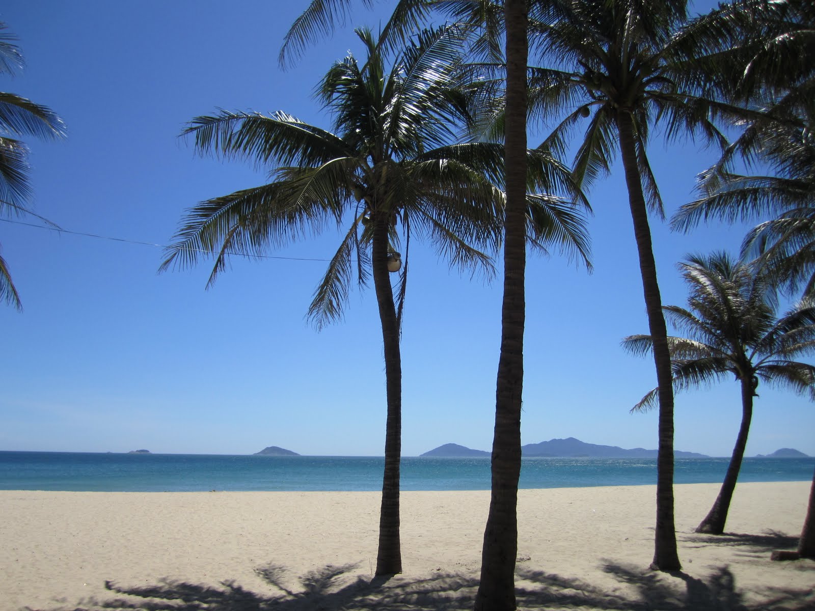 Хойан вьетнам пляжи