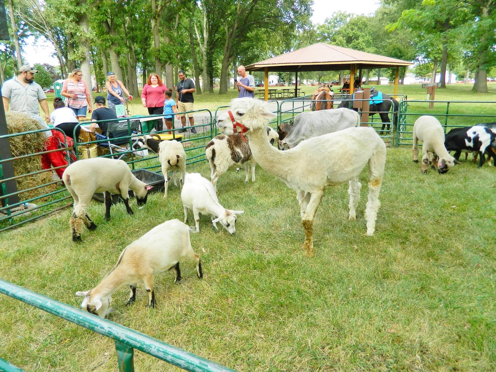 Lincoln Park Days Festival Lincoln Park, Michigan
