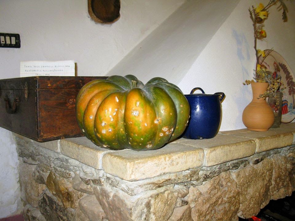 zucca sul camino