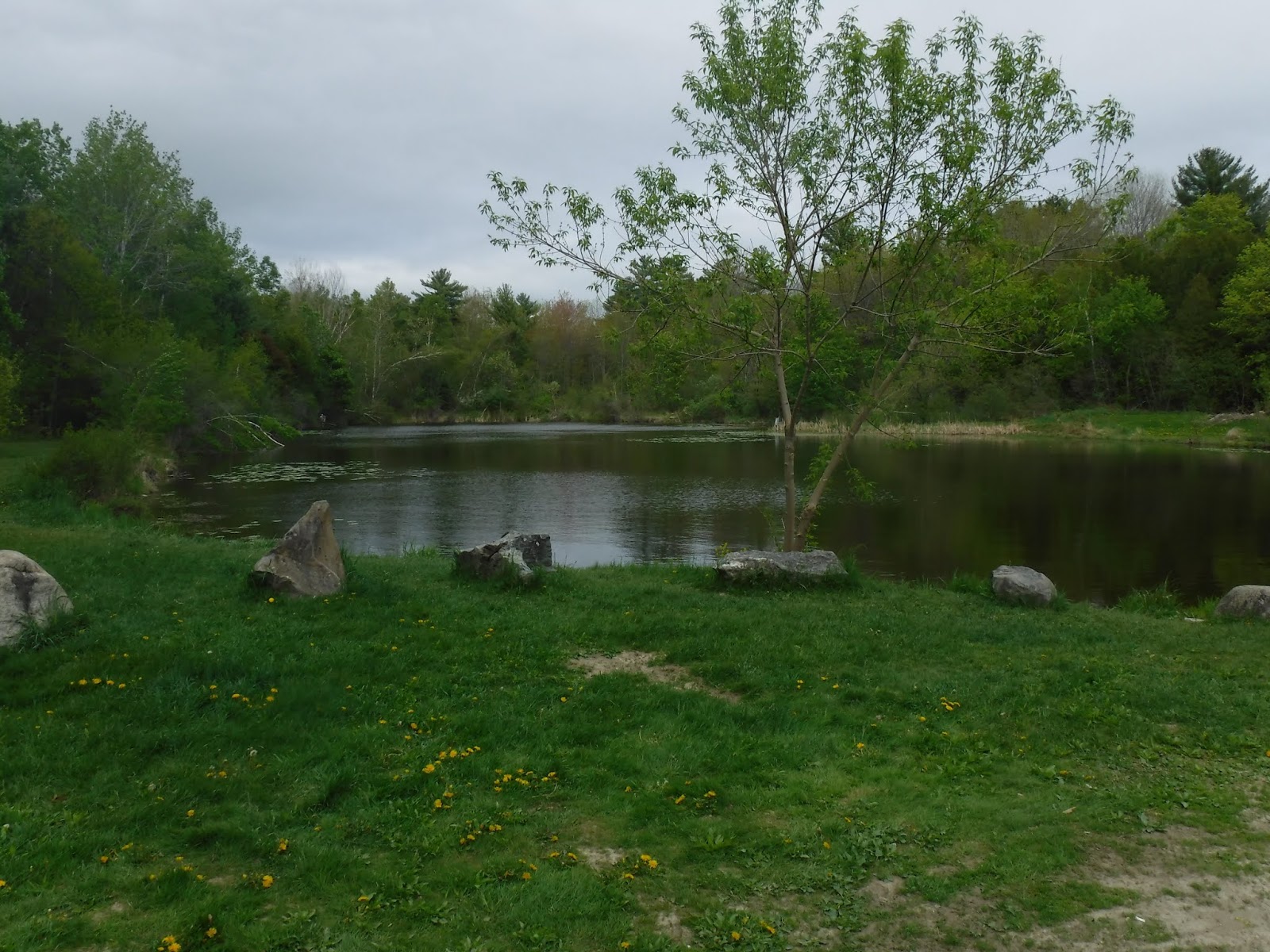 to Indian Trail Park (Brewer)