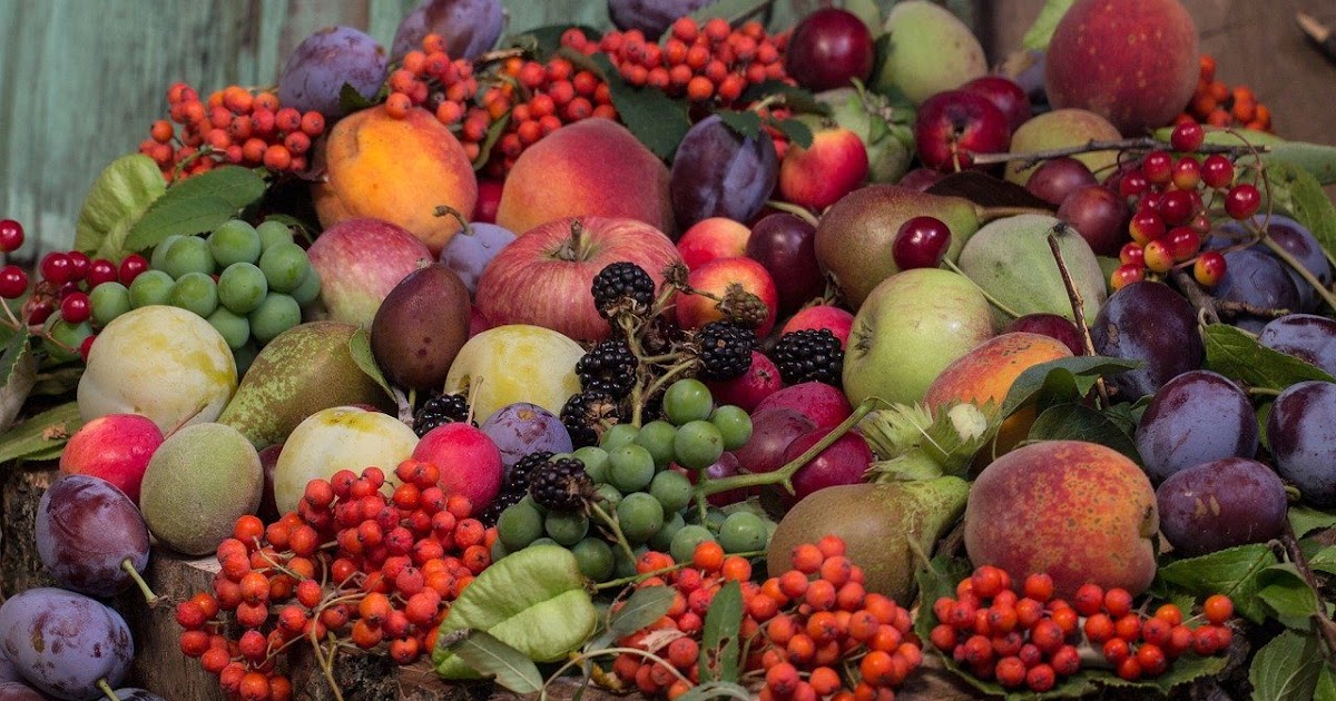 21 Lirios LOS FRUTOS DEL REINO. Domingo XI Ordinario.